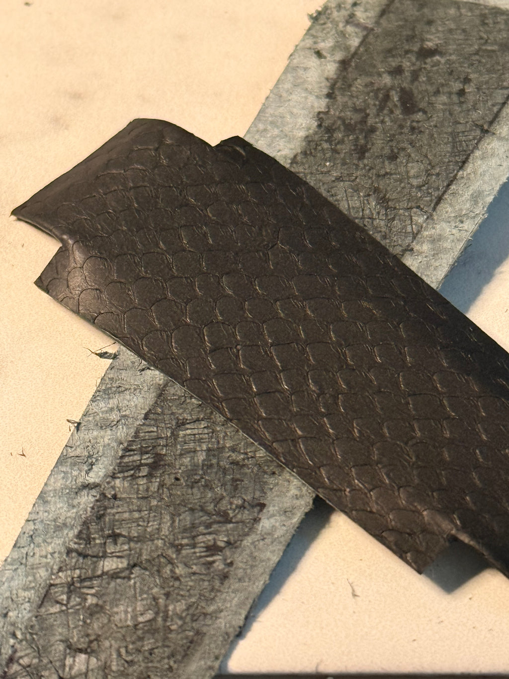 Trout Scale