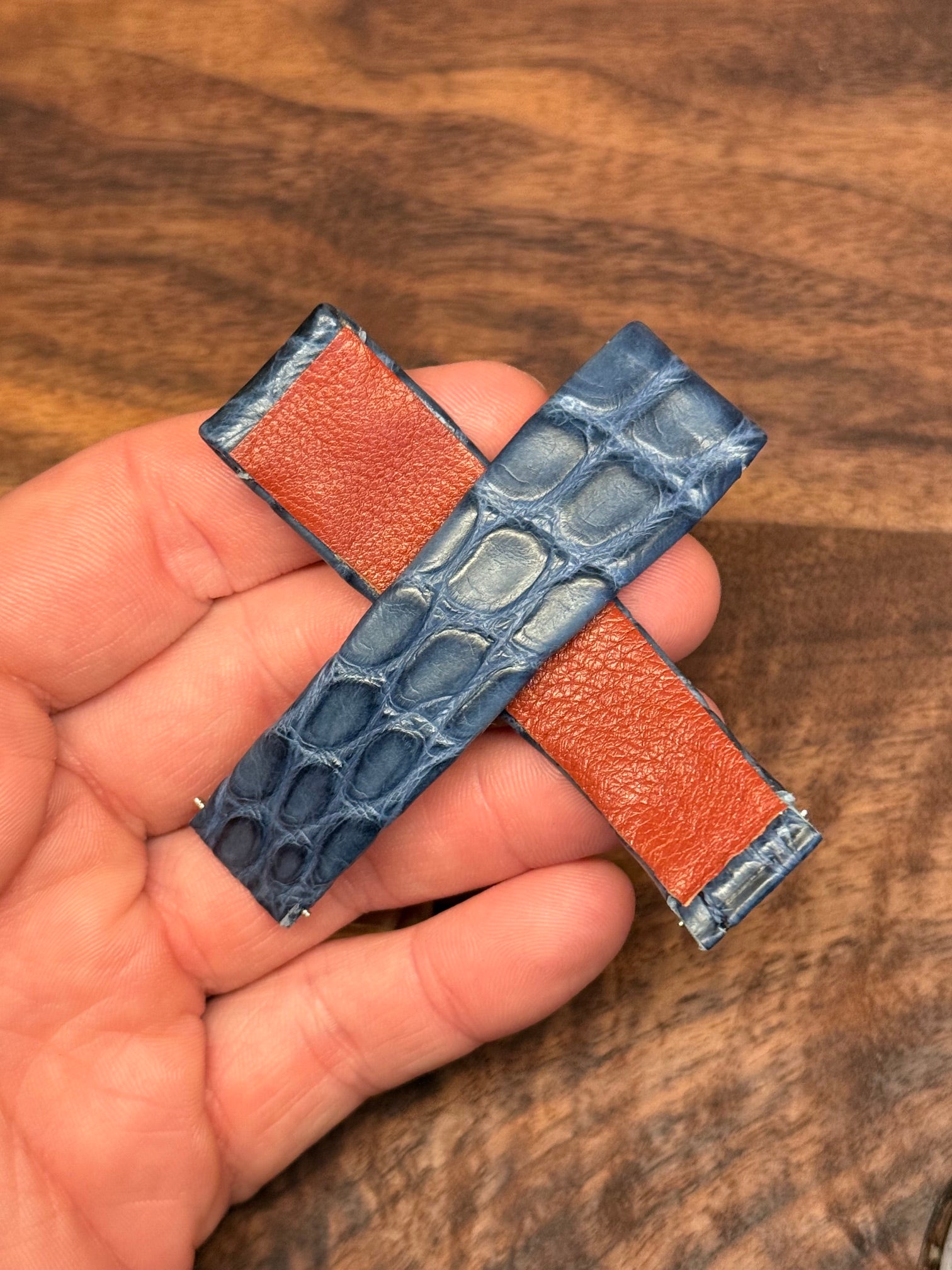 Alligator