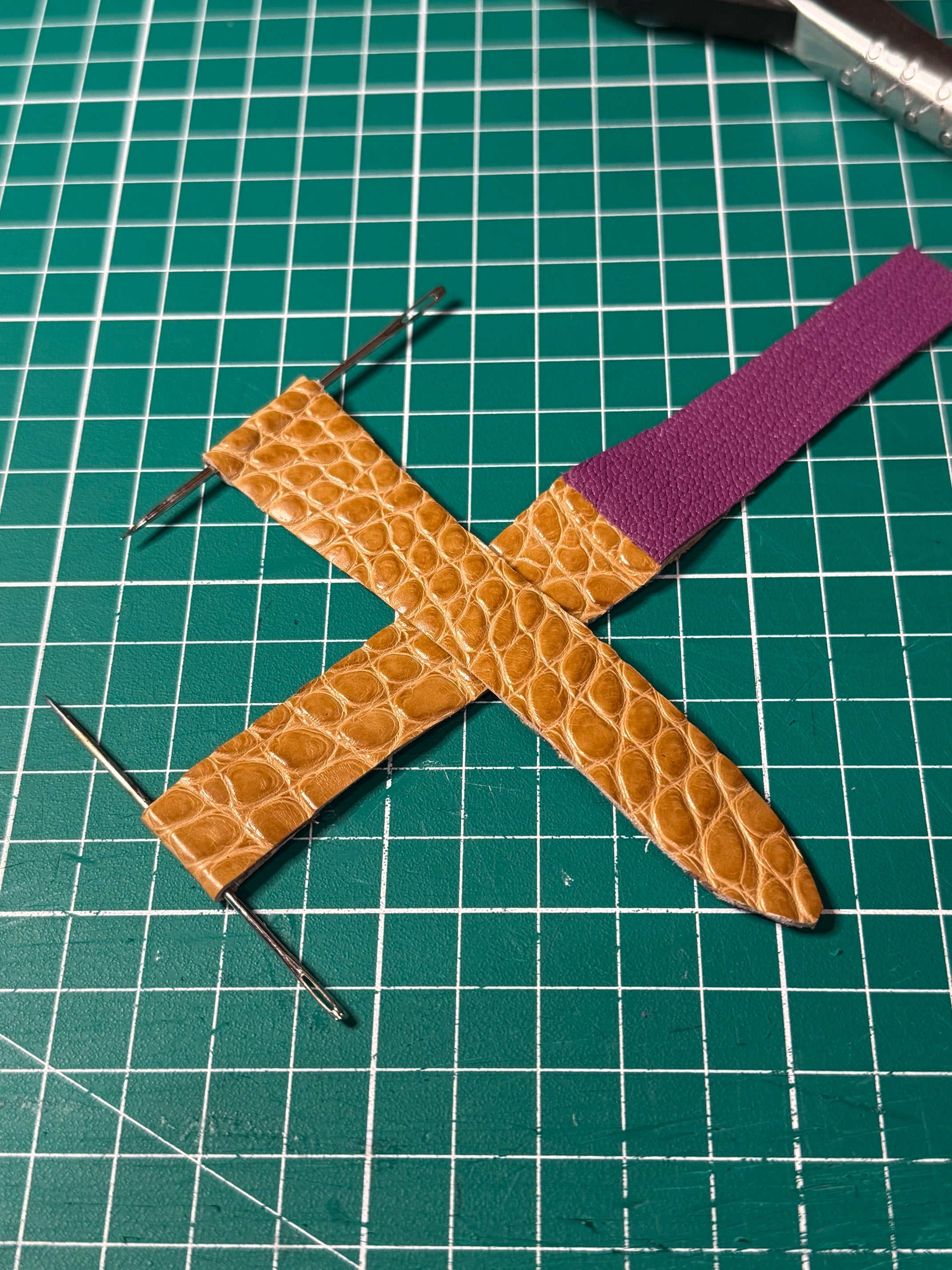 Alligator